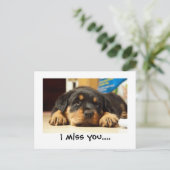 私は恋しく思葉書を発行する ポストカード (スタンド正面)