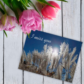 私は恋しく思葉書 ポストカード