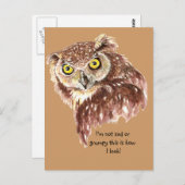 私は悲しくも不機嫌でもない。これが私のフクロウの見た目だ ポストカード (正面/裏面)