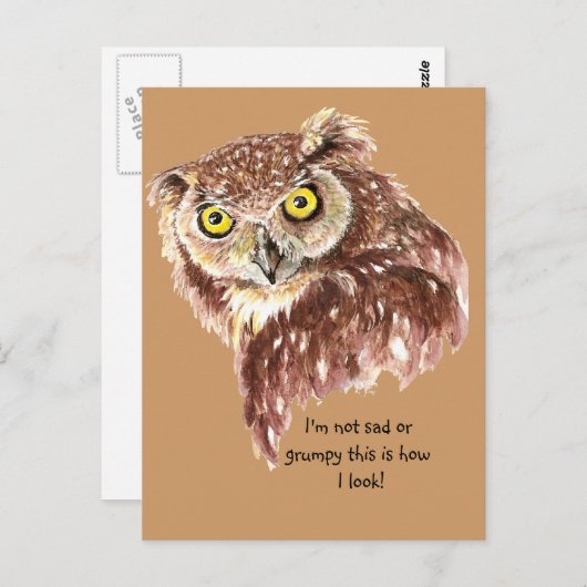 私は悲しくも不機嫌でもない。これが私のフクロウの見た目だ ポストカード (正面/裏面)