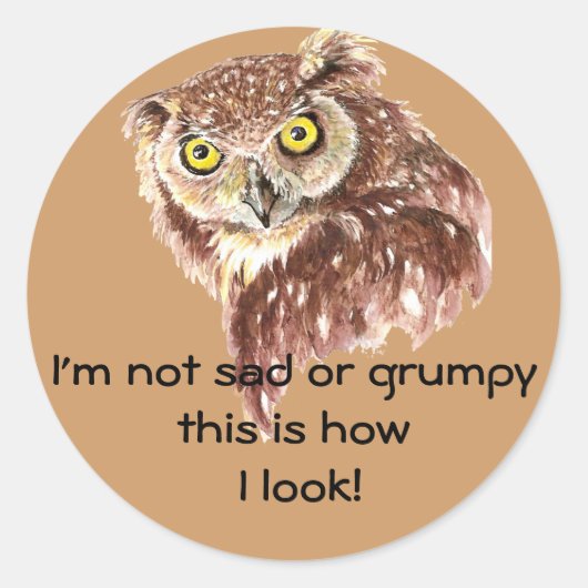 私は悲しくも不機嫌でもない。これが私のフクロウの見た目だ ラウンドシール (正面)