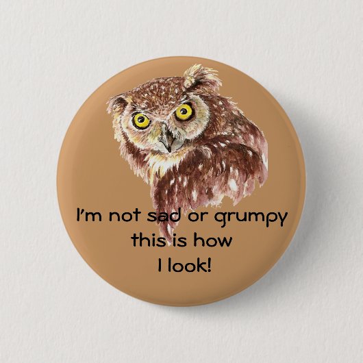 私は悲しくも不機嫌でもない。これが私のフクロウの見た目だ 缶バッジ (正面)