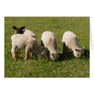 私は愚か者だ！