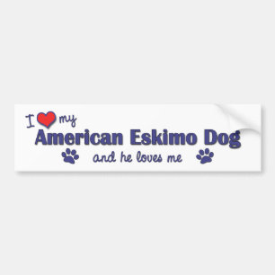 私は愛します私のアメリカのエスキモー犬(オス犬)を バンパーステッカー