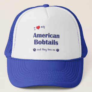 私は愛します私のアメリカのBobtails (多数猫)を キャップ