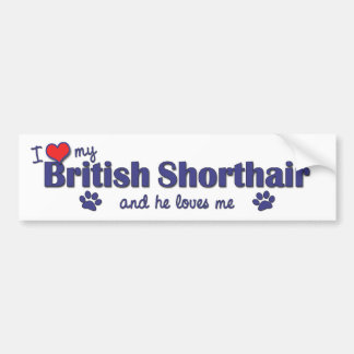 私は愛します私のイギリスのShorthair (オス猫)を バンパーステッカー