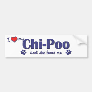私は愛します私のキーPoo (メス犬)を バンパーステッカー