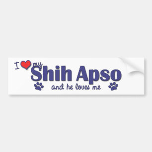 私は愛します私のシーズー(犬) Apso (オス犬)を バンパーステッカー