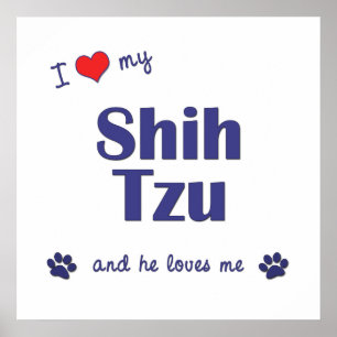 私は愛します私のシーズー(犬) Tzu (オス犬)を ポスター
