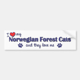 私は愛します私のノルウェーの森林猫(多数猫)を バンパーステッカー