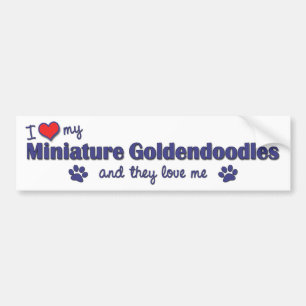 私は愛します私のミニチュアGoldendoodles (多数犬)を バンパーステッカー