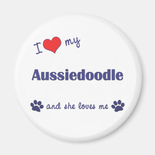 私は愛します私のAussiedoodle (メス犬)を マグネット