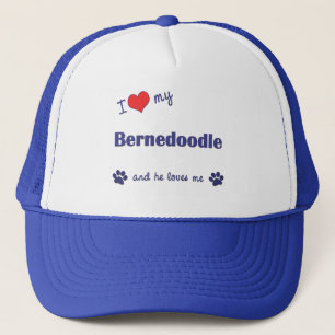 私は愛します私のBernedoodle (オス犬)を キャップ