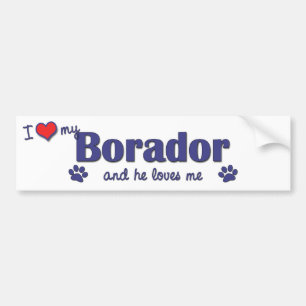 私は愛します私のBorador (オス犬)を バンパーステッカー