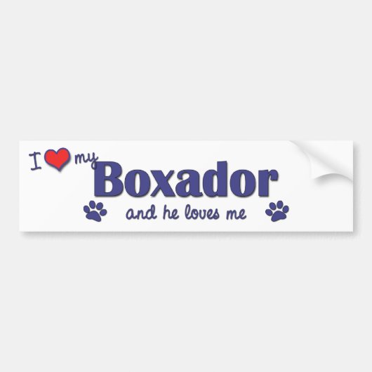 私は愛します私のBoxador (オス犬)を バンパーステッカー (正面)