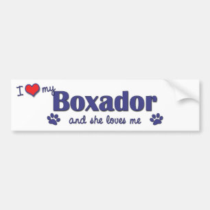 私は愛します私のBoxador (メス犬)を バンパーステッカー