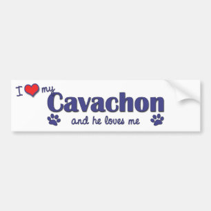 私は愛します私のCavachon (オス犬)を バンパーステッカー