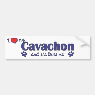 私は愛します私のCavachon (メス犬)を バンパーステッカー