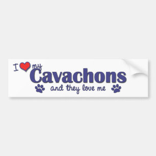 私は愛します私のCavachons (多数犬)を バンパーステッカー