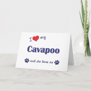 私は愛します私のCavapoo (メス犬)を カード