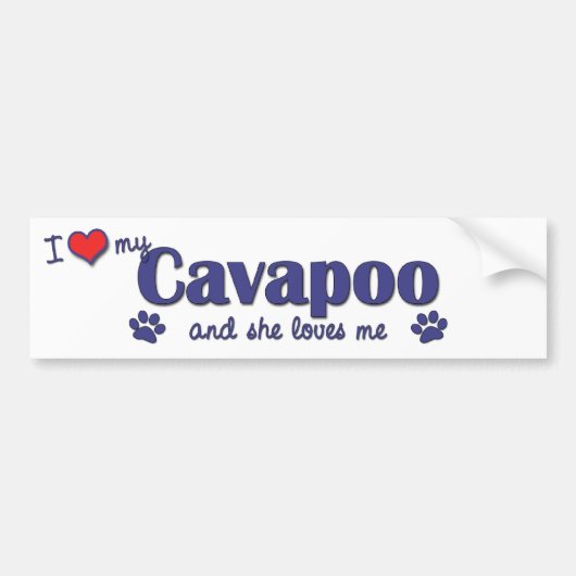 私は愛します私のCavapoo (メス犬)を バンパーステッカー (正面)