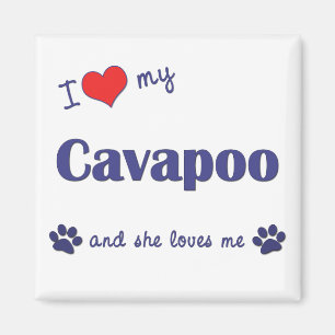 私は愛します私のCavapoo (メス犬)を マグネット