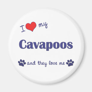 私は愛します私のCavapoos (多数犬)を マグネット