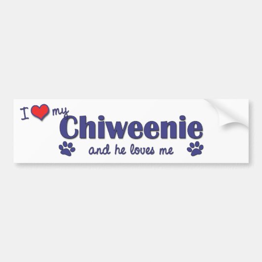 私は愛します私のChiweenie (オス犬)を バンパーステッカー (正面)