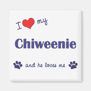 私は愛します私のChiweenie (オス犬)を マグネット