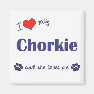 私は愛します私のChorkie (メス犬)を マグネット