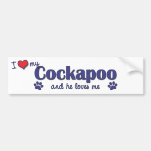 私は愛します私のCockapoo (オス犬)を バンパーステッカー