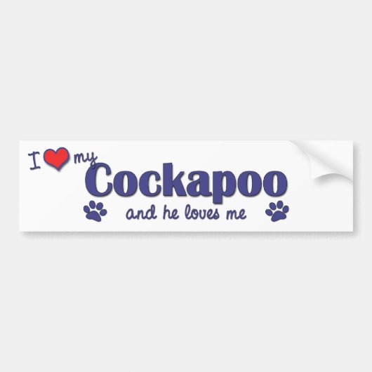 私は愛します私のCockapoo (オス犬)を バンパーステッカー (正面)