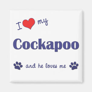 私は愛します私のCockapoo (オス犬)を マグネット