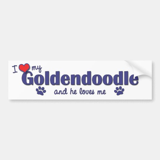 私は愛します私のGoldendoodle (オス犬)を バンパーステッカー (正面)