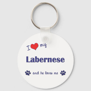 私は愛します私のLabernese (オス犬)を キーホルダー