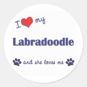 私は愛します私のLabradoodle (メス犬)を ラウンドシール