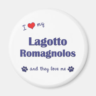 私は愛します私のLagotto Romagnolos (多数犬)を マグネット