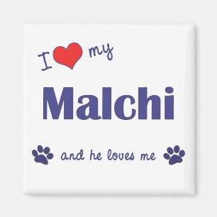 私は愛します私のMalchi (オス犬)を マグネット