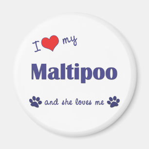 私は愛します私のMaltipoo (メス犬)を マグネット