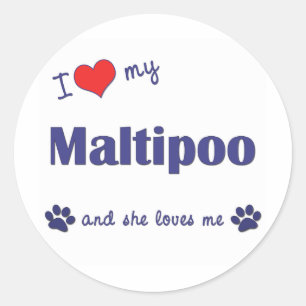 私は愛します私のMaltipoo (メス犬)を ラウンドシール