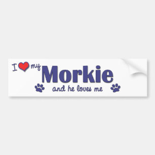 私は愛します私のMorkie (オス犬)を バンパーステッカー