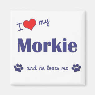 私は愛します私のMorkie (オス犬)を マグネット