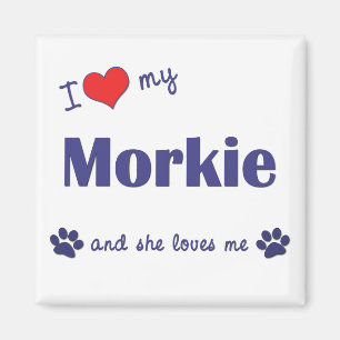 私は愛します私のMorkie (メス犬)を マグネット