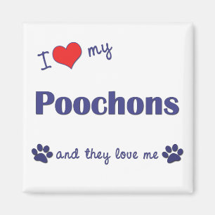 私は愛します私のPoochons (多数犬)を マグネット