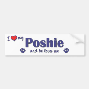 私は愛します私のPoshie (オス犬)を バンパーステッカー