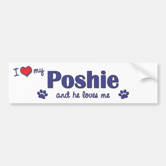 私は愛します私のPoshie (オス犬)を バンパーステッカー (正面)