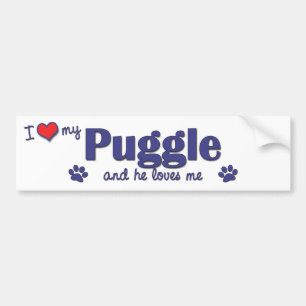 私は愛します私のPuggle (オス犬)を バンパーステッカー