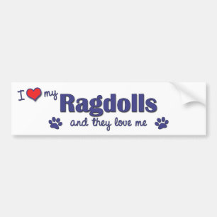 私は愛します私のRagdolls (多数猫)を バンパーステッカー
