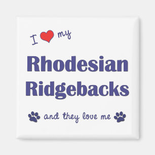 私は愛します私のRhodesian Ridgebacks (多数犬)を マグネット