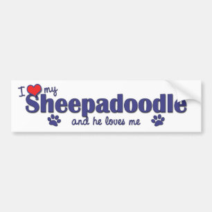 私は愛します私のSheepadoodle (オス犬)を バンパーステッカー